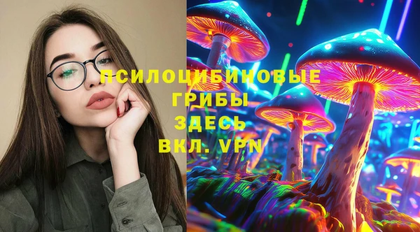 молекула духа Абинск