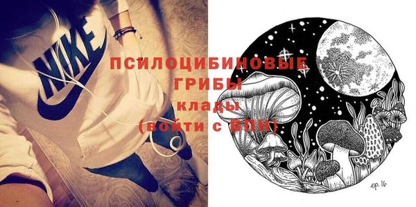 молекула духа Абинск