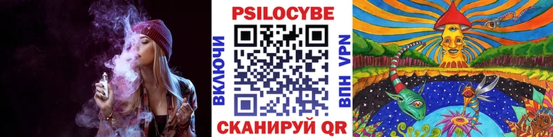 Галлюциногенные грибы Psilocybine cubensis  наркотики  Кораблино 